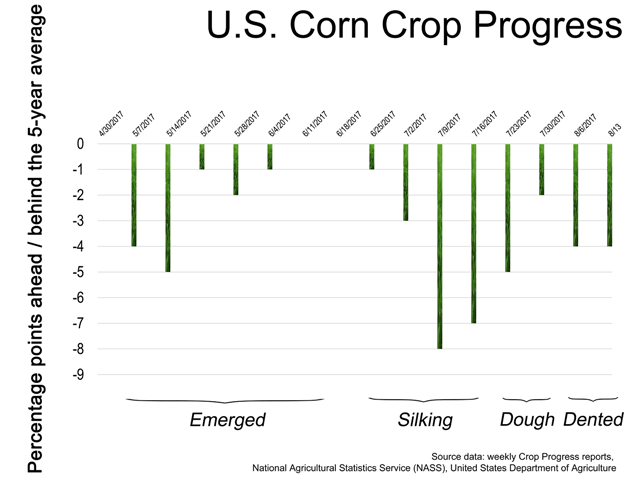 Through most of the crop&#039;s growth stages, nationwide corn Crop Progress numbers have been a few points behind the previous five-year averages. (Graphic by Elaine Kub)